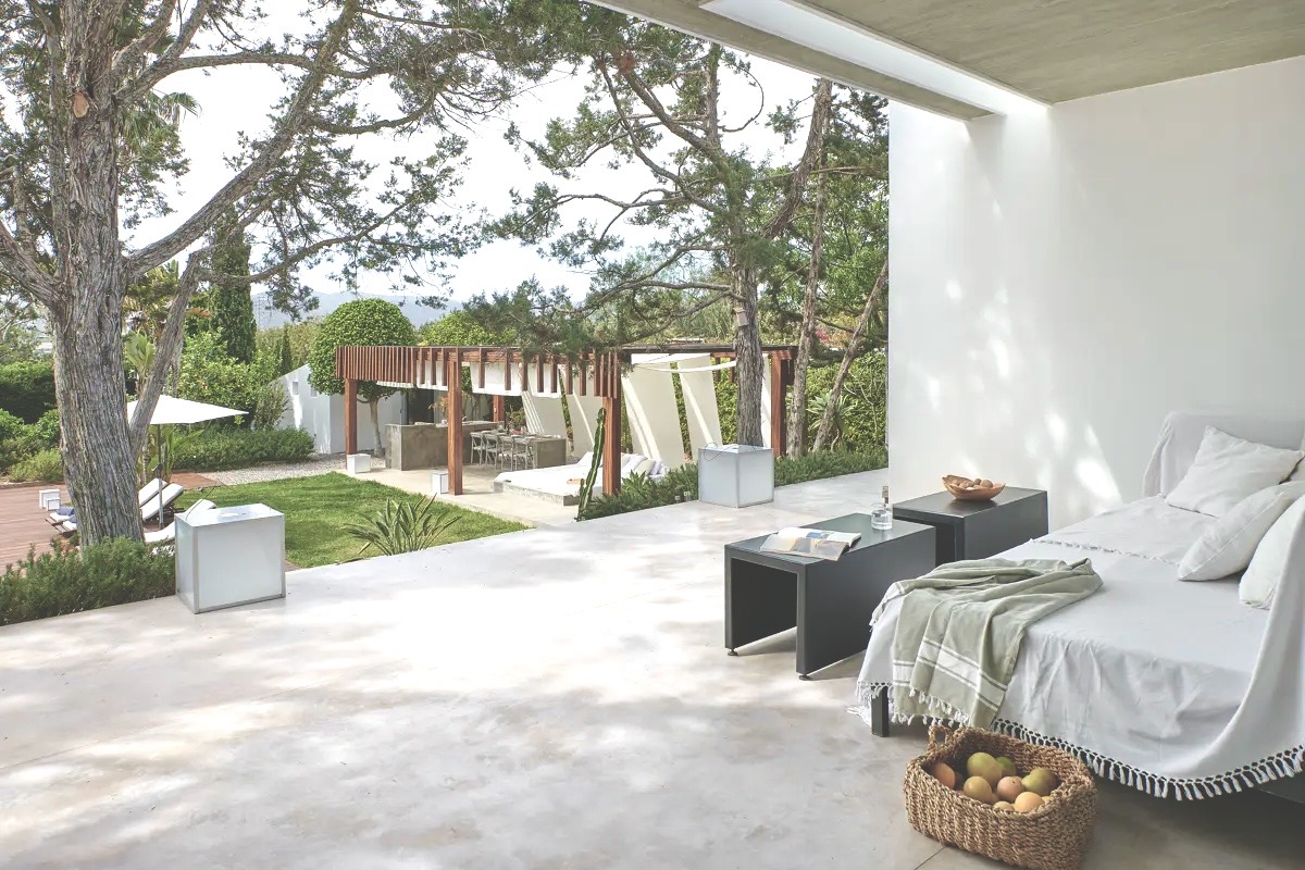 Shaded terrace under the pines